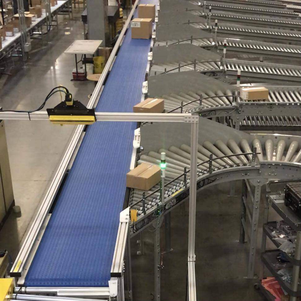 Belt sorter with roller divert lanes and cartons